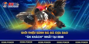 Chia sẻ đến cược thủ sảnh đá gà cựa dao hot nhất tại EE88