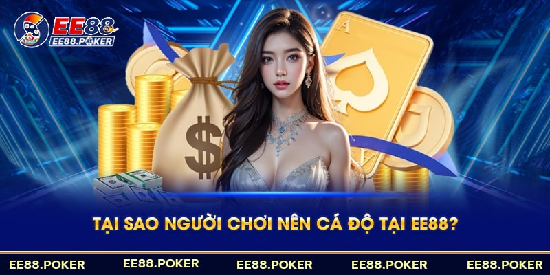 Tại sao người chơi nên cá độ tại EE88?