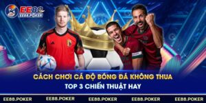 Top các cách chơi cá độ bóng đá không thua